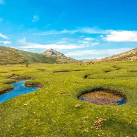 Magnifique T2 45m2 Neuf 5 Personnes Place St Marcel Hyper Centre Wifi Lave Linge Tv Lejlighed