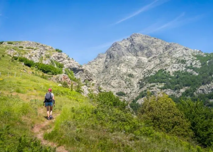 Magnifique T2 45m2 Neuf 5 Personnes Place St Marcel Hyper Centre Wifi Lave Linge Tv *