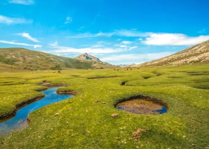 Magnifique T2 45m2 Neuf 5 Personnes Place St Marcel Hyper Centre Wifi Lave Linge Tv Apartmán