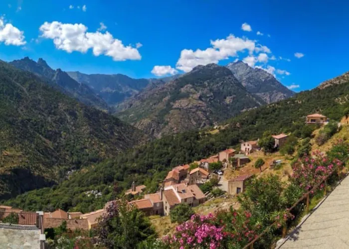 Apartment Magnifique T2 45m2 Neuf 5 Personnes Place St Marcel Hyper Centre Wifi Lave Linge Tv Corte (Corsica)