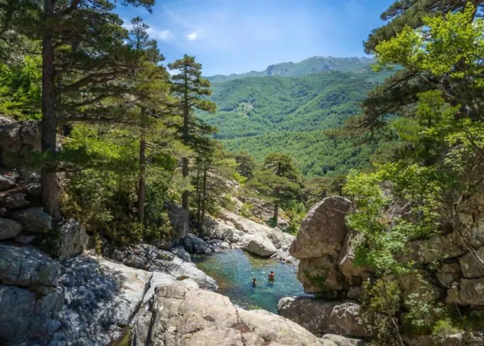 Magnifique T2 45m2 Neuf 5 Personnes Place St Marcel Hyper Centre Wifi Lave Linge Tv Apartmán Corte (Corsica)